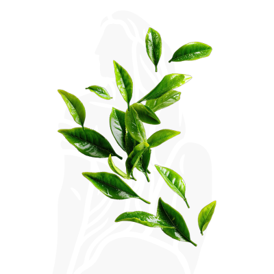 Zodiac Virgo Perfume Guide 